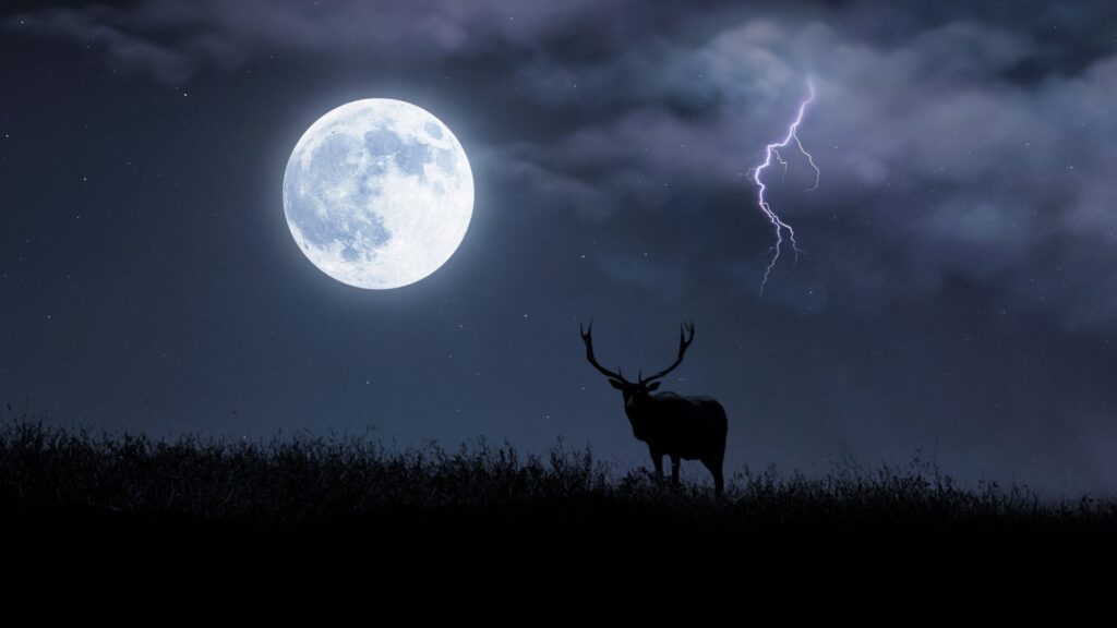 Deer full moon on July 10