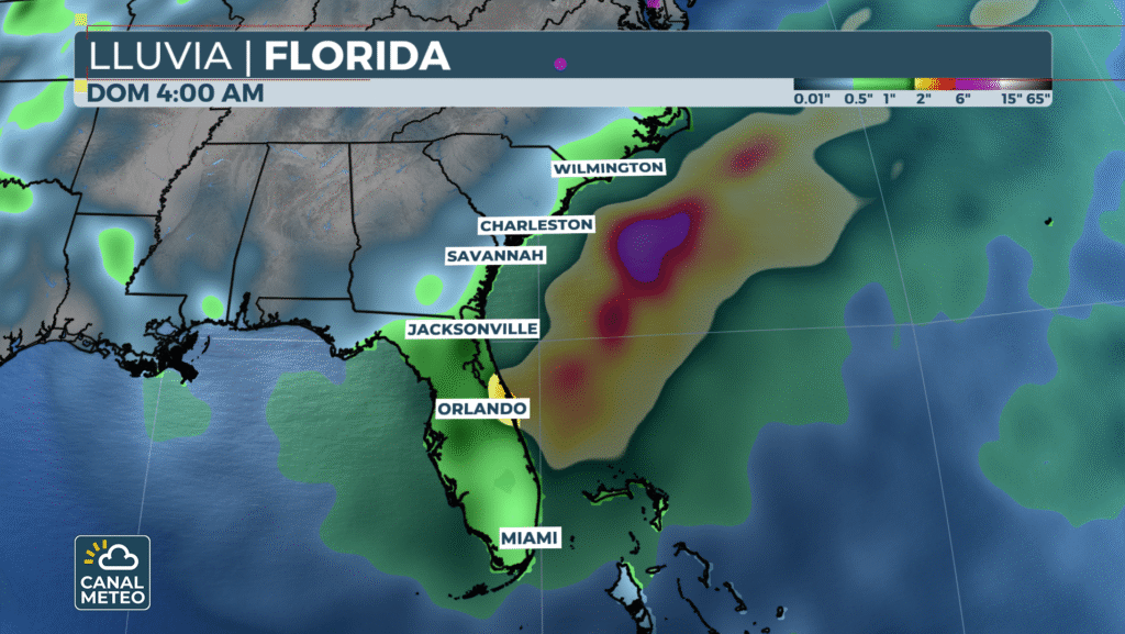 Cumulative rain over Florida this week