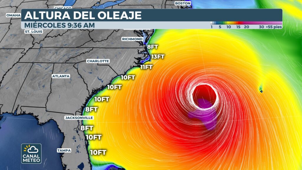 Surge field over the Atlantic from Hurricane Erin