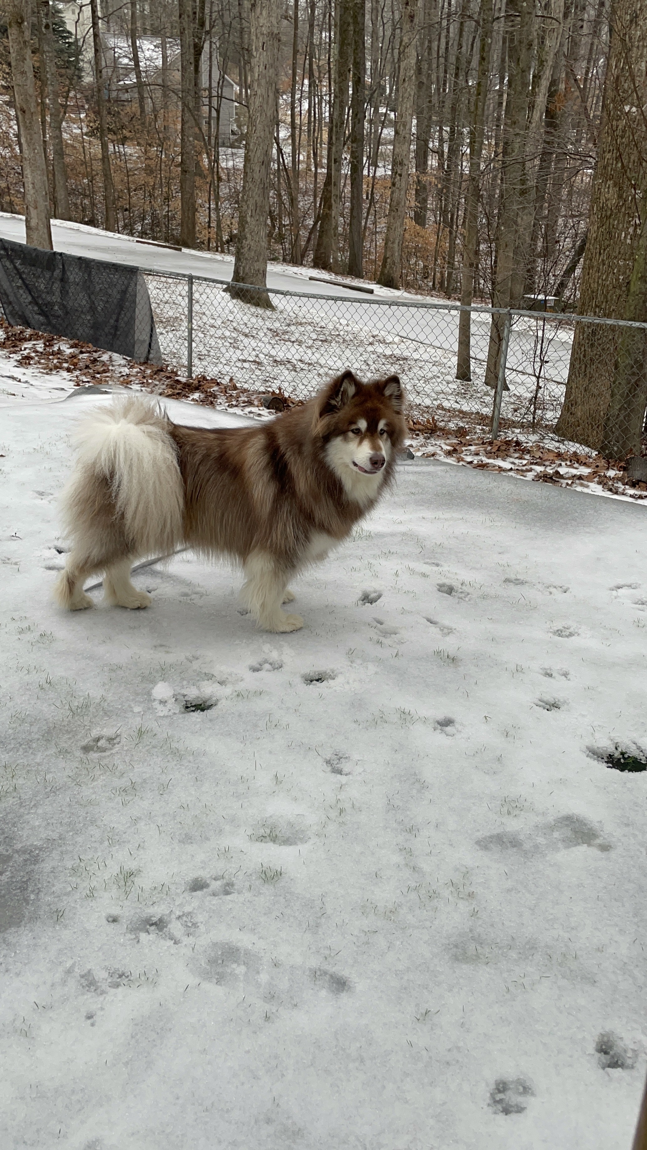 Foto de Cumming, GEORGIA por Sandra Tobon