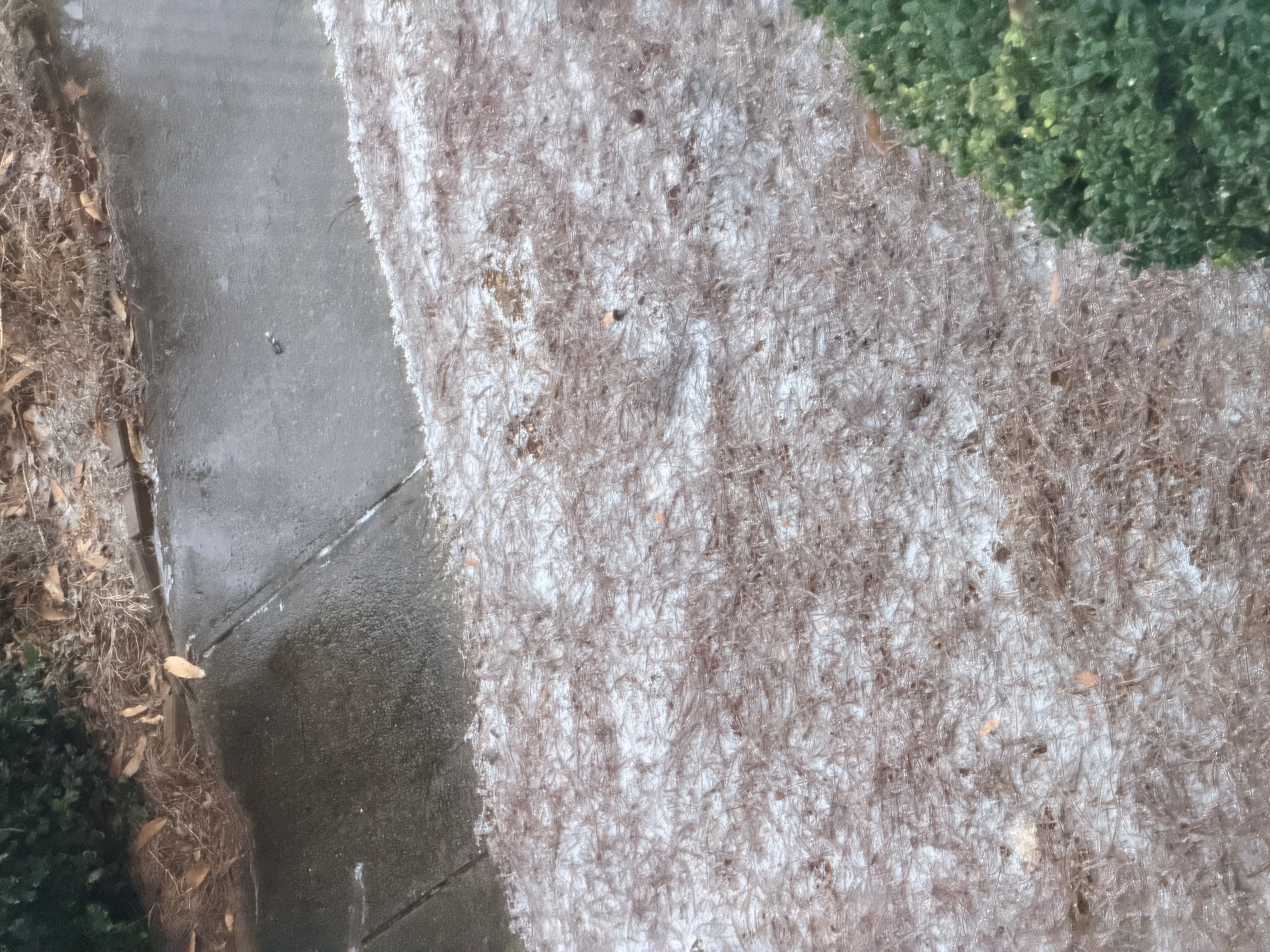 Foto de Duluth, GEORGIA por Adriana