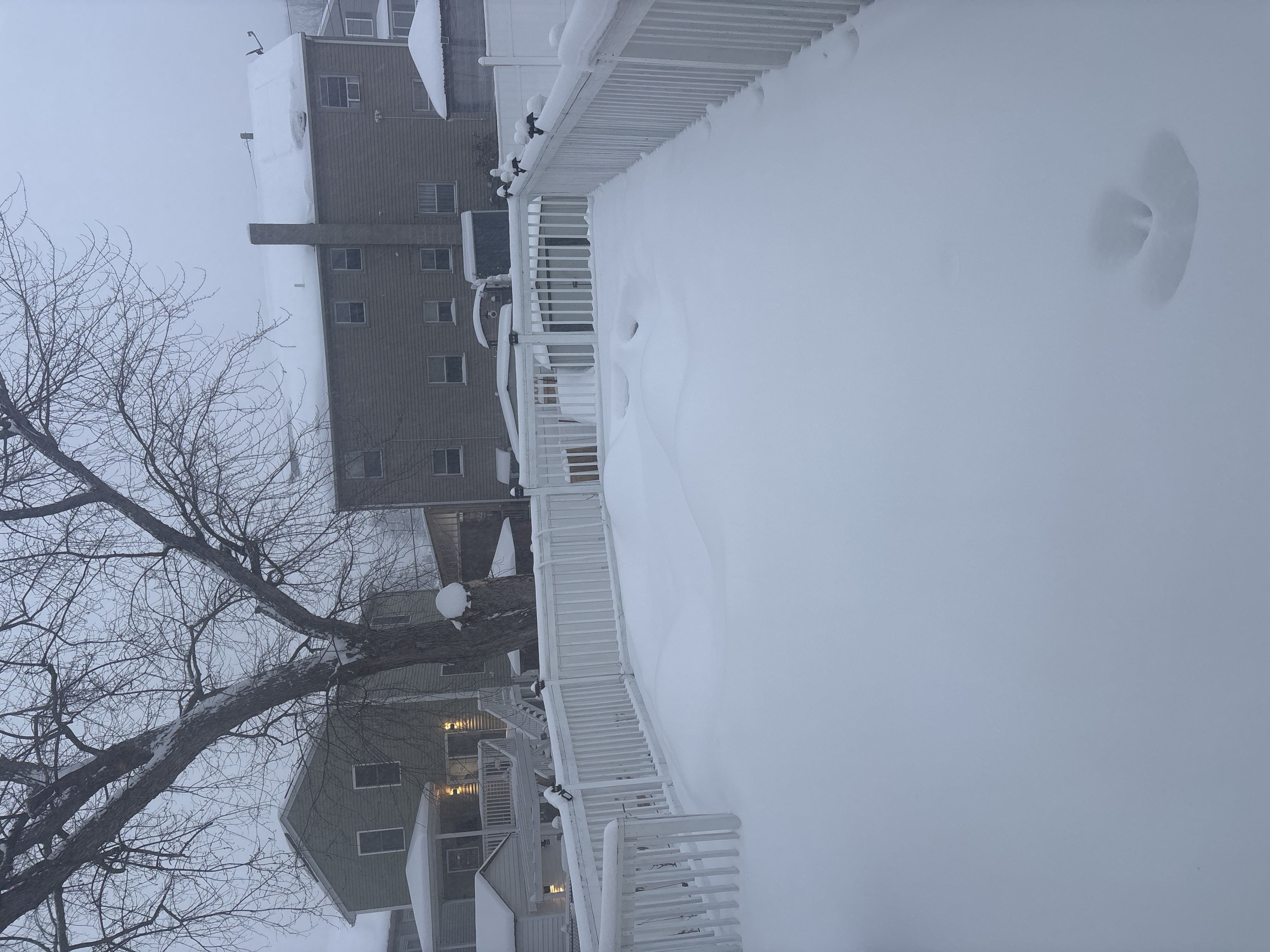 Foto de Lawrence, MASSACHUSSETS por Erika Colon