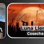 Luna llena del mes de octubre, la cosecha