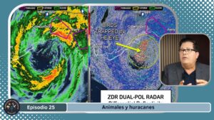 Episodio 25 - pájaros en un huracán