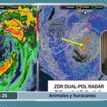 Episode 25 - birds in a hurricane