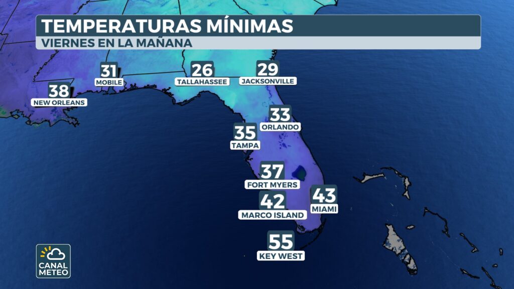 Mínimas congelantes en Florida